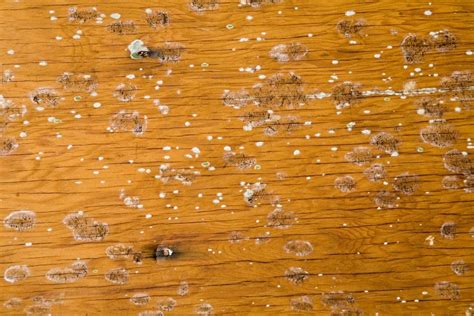 Mildew on wood - There are a number of places you can get craft wood, with prices starting at free and going on up. However, free hard wood isn’t free after you add on the value of your time to pro...